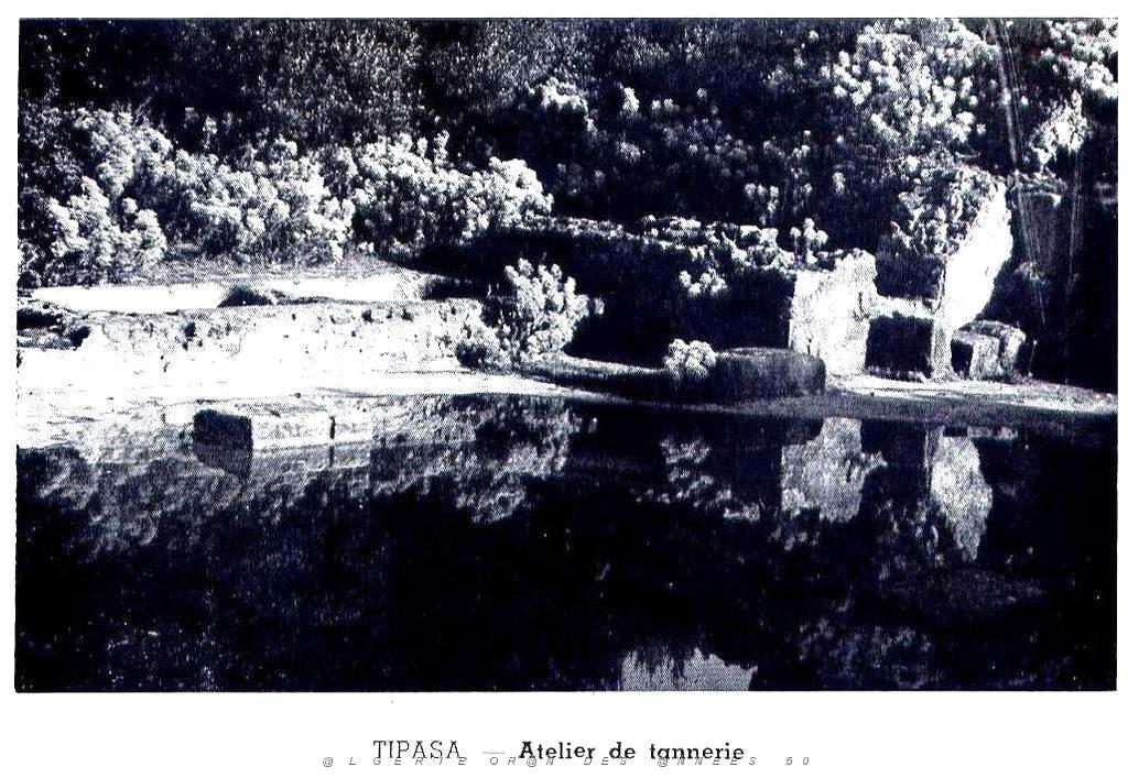Villes Musees Algerie 090.jpg